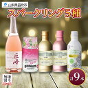 【ふるさと納税】スパークリングワイン 飲み比べ 瓶1本+缶4種8本 モンデ酒造 缶ワイン ワイン 果実酒 酒 お酒 ロゼ スパークリング 巨峰 デラウェア 贈答 ギフト 晩酌 宅飲み 家飲み キャンプ BBQ バーベキュー パーティー 山梨県 笛吹市 20000円 無地熨斗 177-4-045