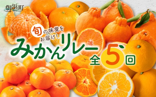 丸安青果の御浜町産みかん（全5回）【果物 フルーツ みかん 定期 定期便 5回 ポンカン 不知火  サンフルーツ ハウス 温州 三重県 御浜町】