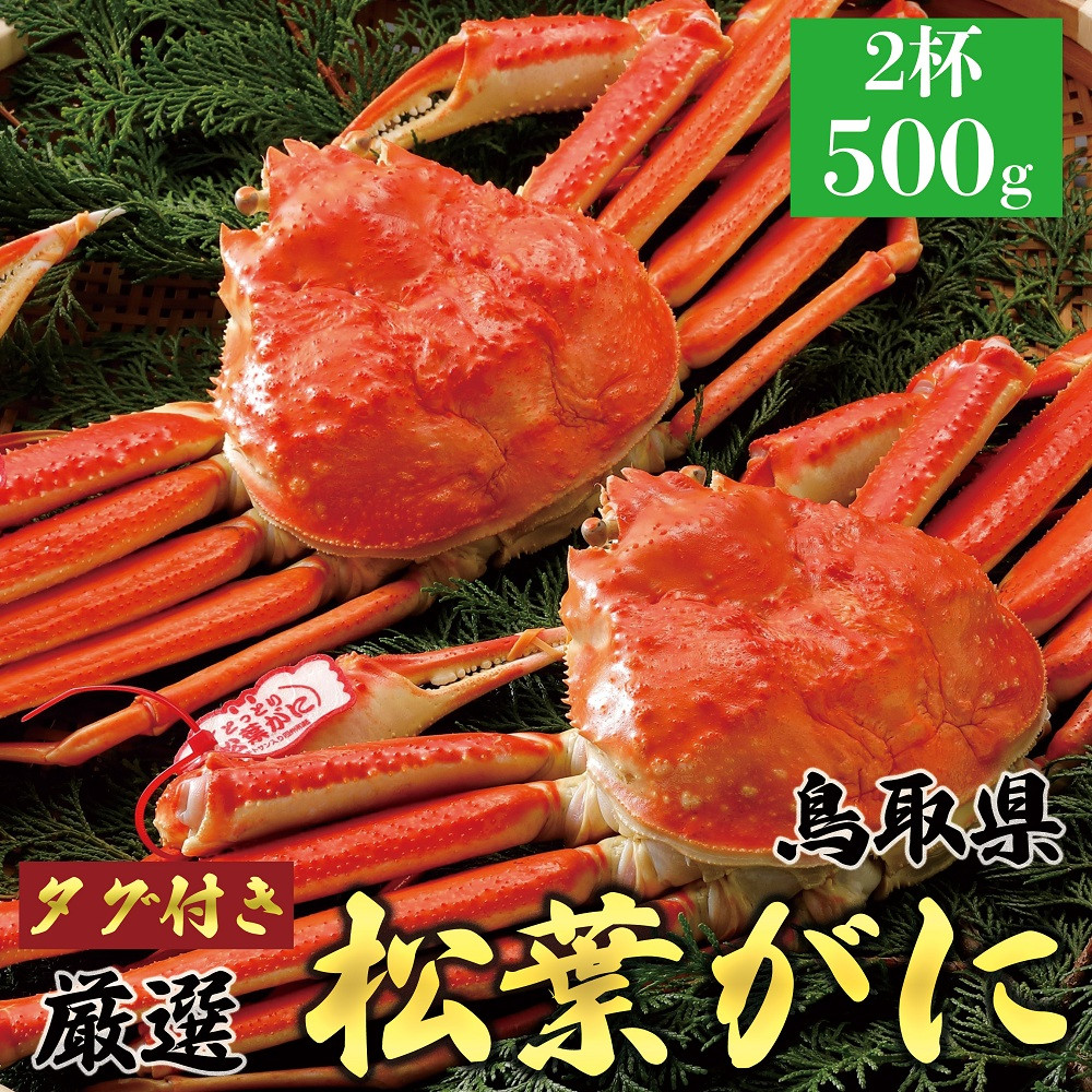 770.【ボイル】≪2025年11月発送≫ 特撰 松葉がに【ブランドタグ付き】500g超×2杯