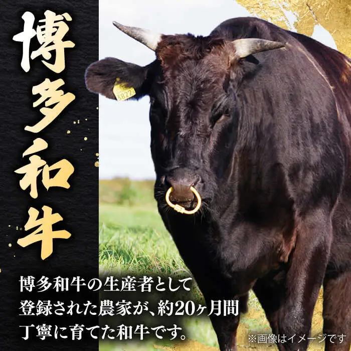 【12回定期便】 博多和牛 肩ロース 400g 焼肉 和牛 牛肉 九州産 国産 桂川町/ワイエスフード株式会社 [ADBP006] 国産牛 牛肉 肉 肩 ロース 焼き肉用 定期便 