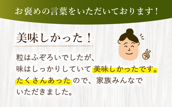 【先行予約】【 訳あり 】 ゆめのか 苺 計2kg （250g×8パック）＜川原農園＞ [CDR005] 長崎 西海 いちご 苺 イチゴ