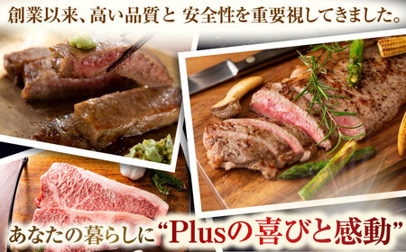 【A4〜A5】長崎和牛サーロインステーキセット　500g（250g×2枚）【株式会社 MEAT PLUS】[QBS014]