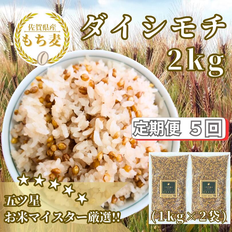 【ふるさと納税】【5回定期便】ダイシモチ2kg もち麦 キラリ もち麦ごはん（CIB40）