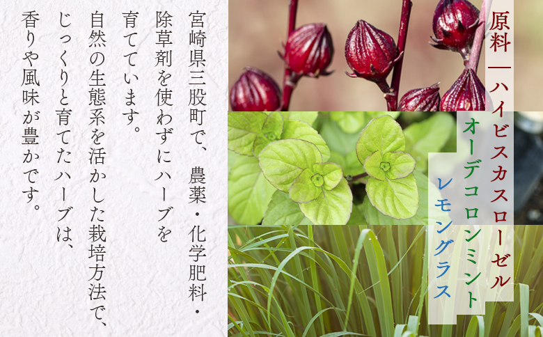 ＜ハーブティー ティーバッグ 1袋3個入（レモングラス）＞国産 ドライ 乾燥させたハーブ 爽やか ほっとひと息 ハーブティードリンク リラックス 休憩 ノンカフェイン 持ち運びに便利 ぷちギフト 後片