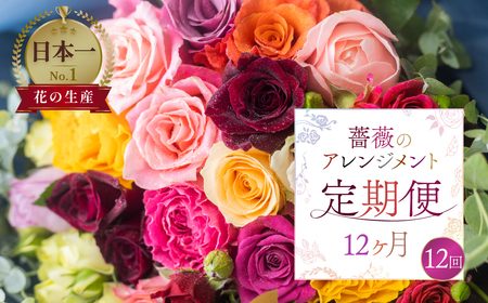 【定期便】薔薇のアレンジメント (バラ20本+ユーカリ) 12ヶ月 12回お届け アレンジブーケ バラ 薔薇 花束 ローズ 生花 赤 ピンク 色おまかせ 観賞用 プレゼント 花 ギフト 誕生日 植物 フラワー   定期便 12回 花束  定期便 12回 花束  定期便 12回 花束  定期便 12回 花束  定期便 12回 花束  定期便 12回 花束  定期便 12回 花束  定期便 12回 花束  定期便 12回 花束  定期便 12回 花束  定期便 12回 花束  定期便 12回 花束  定期便 1