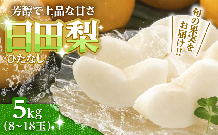 【先行予約・26年7月以降発送】 旬の日田梨お届け便 約5kg(幸水、豊水、秋月、新高、新興) 　日田市 / 南国フルーツ株式会社 なし 梨 果物 フルーツ 【配送不可地域：離島】[ARET008]