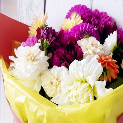 ふるさと納税 酒田市 とれたて「酒田のダリアの花束」〜旬の彩りと華やぎを産地からお届け〜 |  | 01