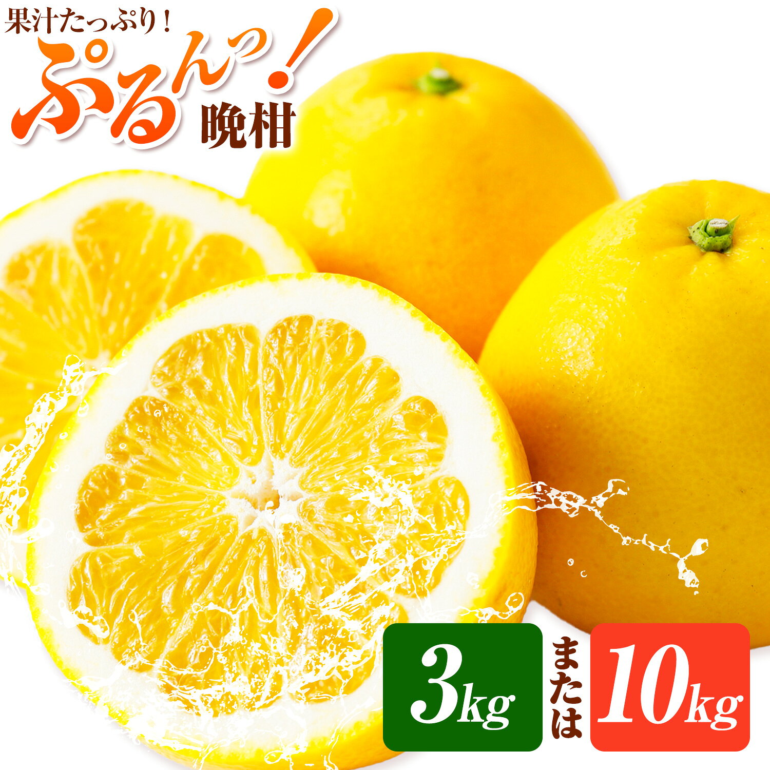 【ふるさと納税】みかん 晩柑 3kg 10kg 高橋商店《3月下旬-7月上旬頃出荷》熊本県 苓北町 柑橘 かんきつ 甘草晩柑 果物 フルーツ 送料無料