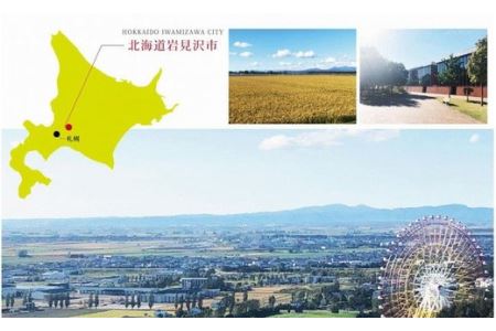 令和5年産【メール受付限定】北海道米3種から選択可能【10・×10回分】お好きなタイミングでお届け可能＊ネット申込限定【01208】