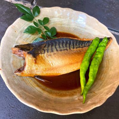 ふるさと納税 伊東市 【毎月定期便】さば味噌煮 詰め合わせ全6回