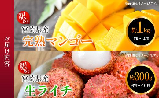 ＜訳あり＞ 完熟 マンゴー 約1kg ＆ 生ライチ 300g 果物 フルーツ 宮崎県産 特産 セット