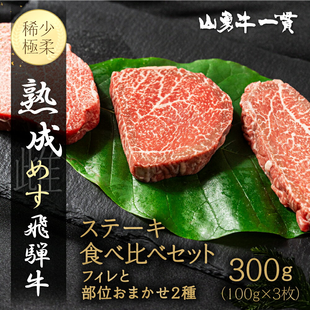 【ふるさと納税】飛騨牛 飛騨の牧場で育った熟成飛騨牛『山勇牛』堪能ステーキセット フィレとおすすめ部位2種 計 300g A4 A5 飛騨牛 熟成肉 ステーキ 和牛 肉 熨斗掛け［F0019］50000円 5万円以内 フィレ ヒレ