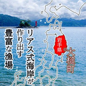 大槌銀鮭(ひと塩)切り身8切(1切れ真空包装約80g～100g)
