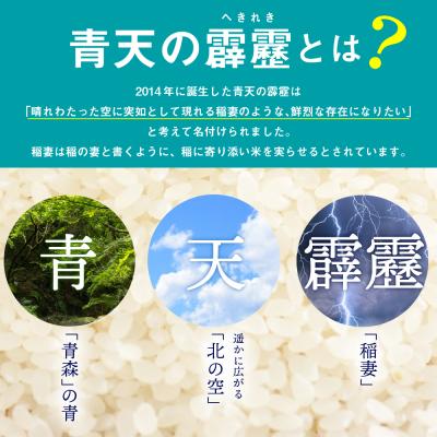 ふるさと納税 五所川原市 【令和7年産米】米 青天の霹靂 5kg 青森県産 【特A 8年連続取得 】(精米) |  | 02