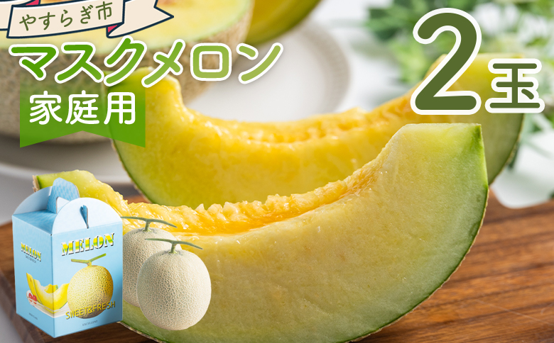 マスクメロン 2玉 家庭用 - 国産 メロン 果物 フルーツ 青果 濃厚 デザート 訳あり 訳アリ ご家庭用 不揃い 傷 やすらぎ市 高知県 香南市 常温 yr-0089