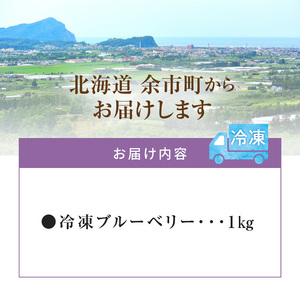 フルーツ王国余市産 冷凍ブルーベリー 1㎏ 【ニトリ観光果樹園】_Y074-0129