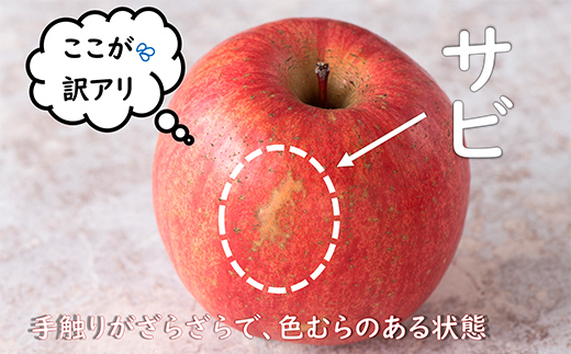 〈訳あり ちょっと規格外〉 完熟みつ入りふじりんご 約4kg 