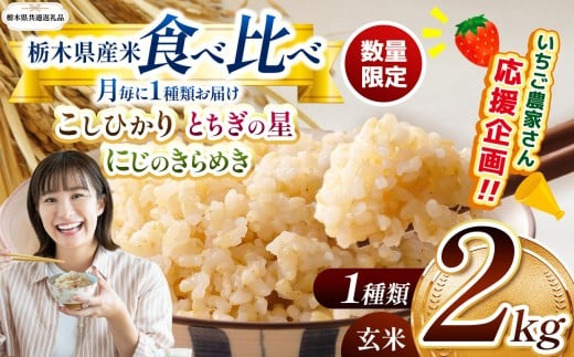 【令和7年度新米】【栃木県共通返礼品】【数量限定】栃木県産コシヒカリ とちぎの星 にじのきらめき 2kg 食べ比べ定期便 |定期便 数量限定 こしひかり とちぎの星 ミルキークイーン にじのきらめき 玄米 米 ごはん おいしい  玄米真空パック ふるさと納税 那珂川町 栃木県
