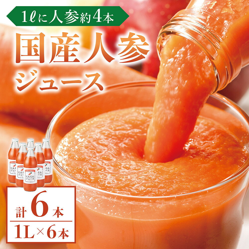 【ふるさと納税】人参ジュース（りんご果汁入り）　1L×6本