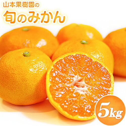 【ふるさと納税】山本果樹園の旬のみかん 5kg 山本果樹園《9月中旬-2月末頃出荷》蜜柑 柑橘 ひのあかり 日南 豊福　肥後早生 青島 旬の品種をお届け！フルーツ 果物