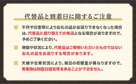 先行予約  桃 あかつき 秀品 約3kg (6～12個程度)  8月上旬~下旬頃発送 山形県産 フルーツ 果物 くだもの もも モモ 2025年産 令和7年産 佐竹物産 sb-moatx3