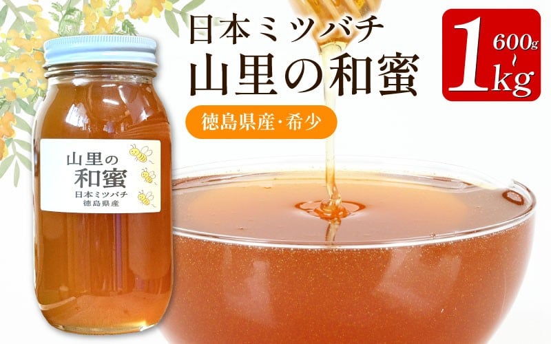 
                  はちみつ 国産 日本みつばち 蜂蜜 600g 1kg ニホンミツバチ 純粋はちみつ 生はちみつ 百花はちみつ 百花蜂蜜 完熟 和蜜 天然 ハニー 瓶 美容 健康 ヨーグルト パンケーキ トースト 保存食 非常食 防災 菓子 産地直送 徳島県 三好市 みよし 森清秀
                