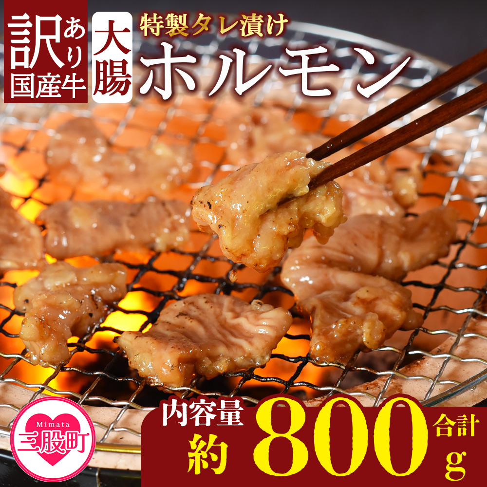 ＜【訳あり】国産牛ホルモン大腸（特製タレ漬け）計800g(400g×2袋)＞大腸を秘伝の特製タレに漬け込みました！【MI427-nk】【中村食肉】