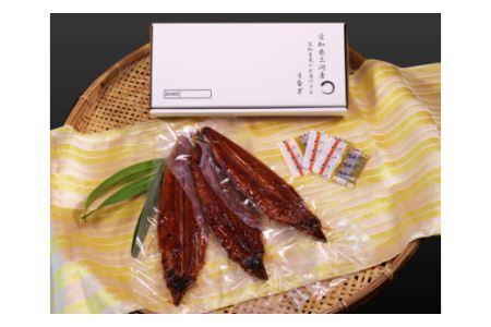 三河産うなぎ特大サイズ蒲焼×3尾(530g～550g)国産 三河産 うなぎ蒲焼×3尾（530g～550g）鰻 ウナギ 国産うなぎ 本格 鰻 蒲焼き 愛知県 西尾市 愛知養魚 海鮮 惣菜 丑の日 土用の丑の日 ・A087-25