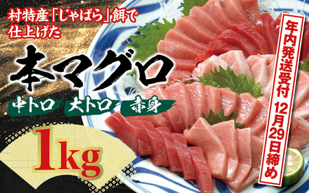 【年末配送受付中！】 本マグロ（養殖）トロ＆赤身セット1kg まぐろ【nks105B-sg】