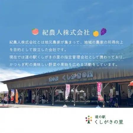 まりひめイチゴ12粒～15粒×4パック【配送不可地域：離島】【1603380】