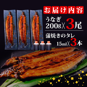 うなぎ 蒲焼き 特大 鰻 200g×3尾 セット 蒲焼きのタレ 付き 冷凍 高知県 須崎市 ( うなぎ 蒲焼き うなぎ 冷凍 うなぎ スタミナ うなぎ 土用の丑の日 うなぎ タレ うなぎ 小分け うな