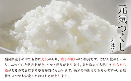 【令和7年度産】元気つくし 9kg 1袋3kg入り わだち農場《30日以内に出荷予定(土日祝除く)》福岡県 鞍手郡 鞍手町 米 コメ 元気つくし 袋 ちらし寿司 こめ