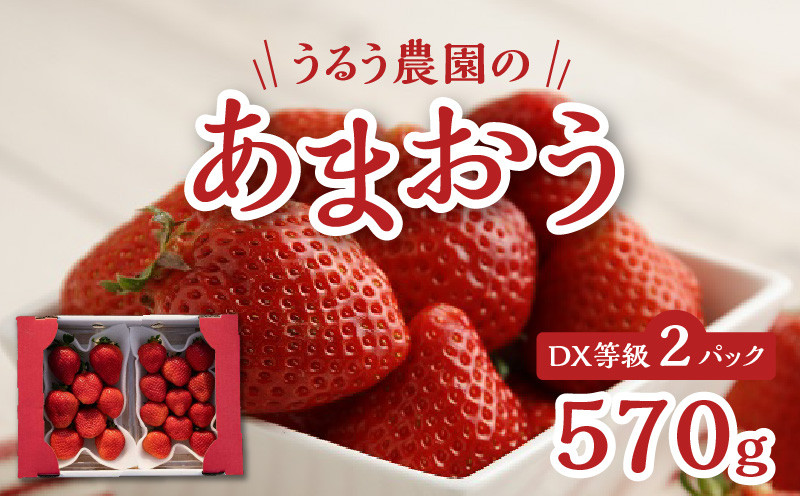 
うるう農園のあまおうDX等級 2パック（570ｇ）
