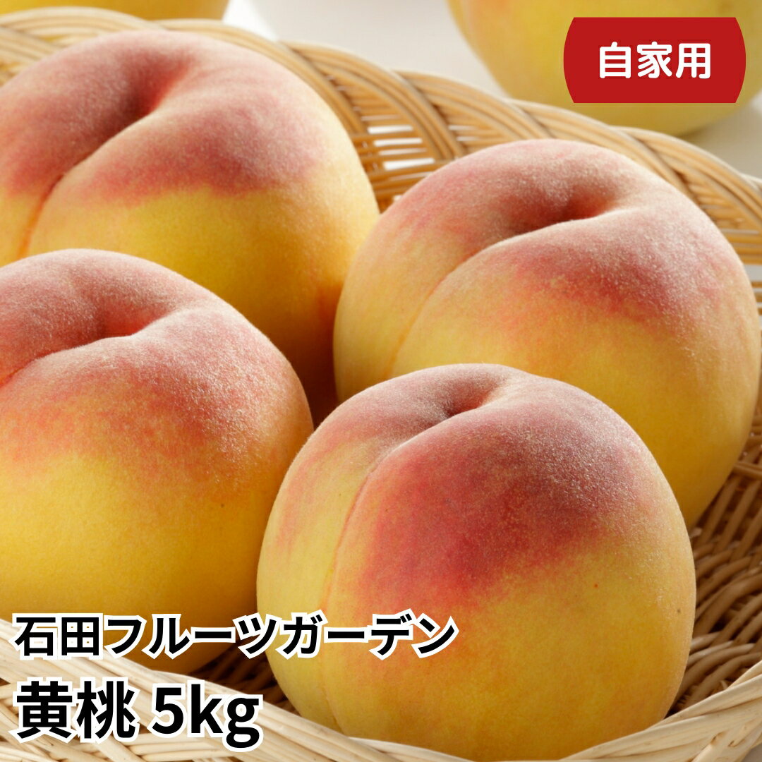 【ふるさと納税】先行予約 黄桃 自家用 5kg 訳アリ 新潟フルーツ 新潟県産黄桃 [石田フルーツガーデン] 【011P013】