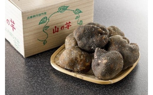 
            兵庫県丹波市産　山の芋
          