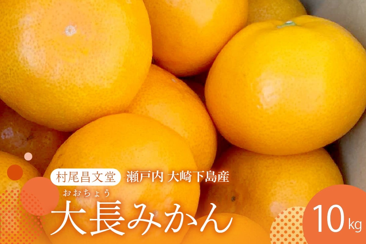 
            【2025年12月上旬～発送】広島県産 呉 大長みかん 10kg ku012-012-25
          