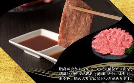 【訳あり】A5,4等級 博多和牛ヒレ焼肉 600g [HS028-1] 久田精肉店【福岡県須恵町】
