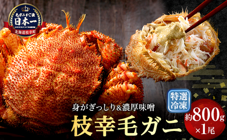特選冷凍「枝幸毛がに」約800g×1尾 毛ガニ
