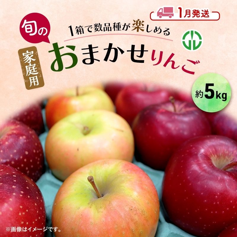 【ふるさと納税】りんご 【 1月発送 】 家庭用 旬のりんご 品種おまかせ 約 5kg 2品種～4品種　お届け：2026年1月6日～2026年1月30日