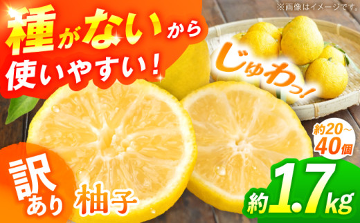 【訳あり】【2026年先行予約】種なし柚子 約1.7kg（約20個から40個）＜2026年11月中旬より順次発送＞ ゆず 種無し ユズ 訳あり 家庭用 柚子 種なし 広島県産 広島みよし 特産品 産地直送 お取り寄せ 贈り物 ギフト 贈答品 絶品 銘品 三次グルメ 柑橘 芳香 柚子 種なし ゆず茶 料理  三次市/小さなくだもの畑 [APAQ003]