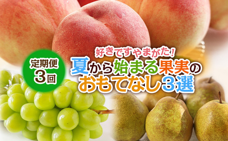 【定期便3回】好きですやまがた！夏から始まる果実のおもてなし 3選【令和8年産先行予約】FS25-099