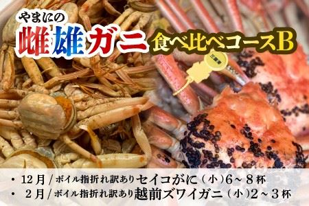 【先行予約】【年2回定期便】越前がに・せいこがに食べ比べコースB（12月・2月発送） [G-4354]