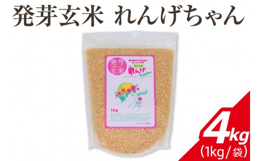 
                  発芽玄米 れんげちゃん コシヒカリ 4kg｜発芽玄米 コシヒカリ 玄米 れんげちゃん 3kg もちもち 甘み 栄養 ごはん 炊き方 白米ミックス 食べやすい 主食 お取り寄せ 米  送料無料 愛知県 阿久比町
                