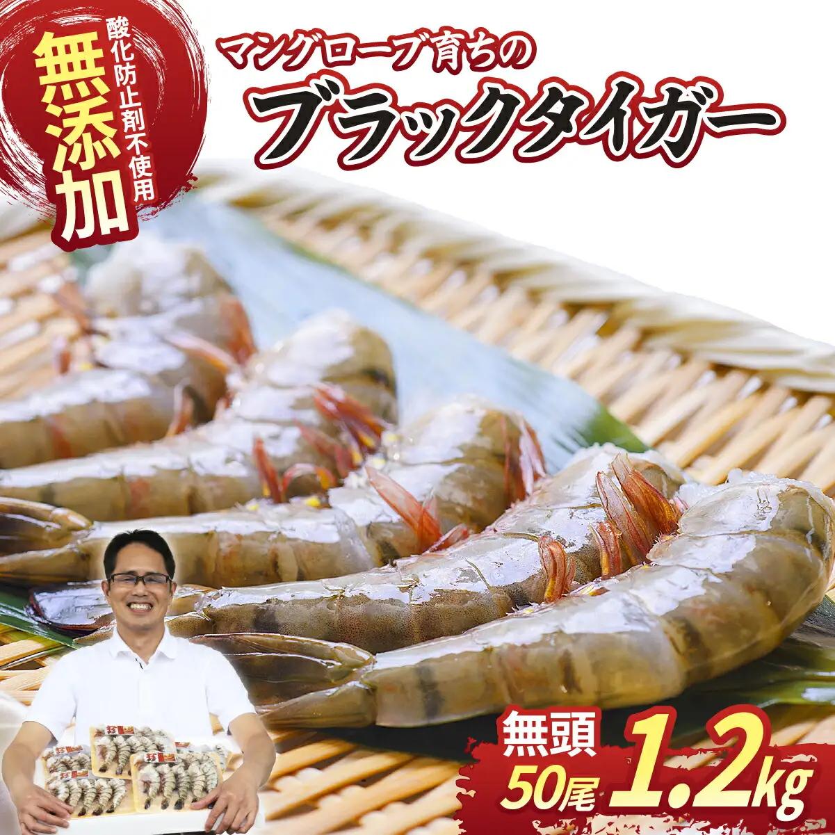 ブラックタイガー海老 魚兵水産こだわり 10尾5パック | エビ えび 茨城県ひたちなか市