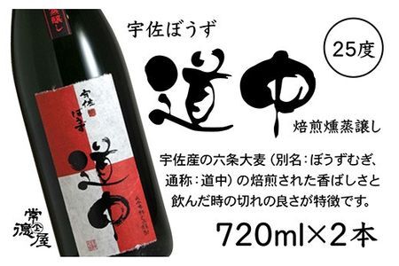 宇佐麦焼酎「兼八」(化粧箱入り)「宇佐ぼうず道中」極上セット(合計2.88L・720ml×4本)酒 お酒 むぎ焼酎 720ml 麦焼酎 アルコール 飲料 常温 数量限定 飲み比べ セット【104303