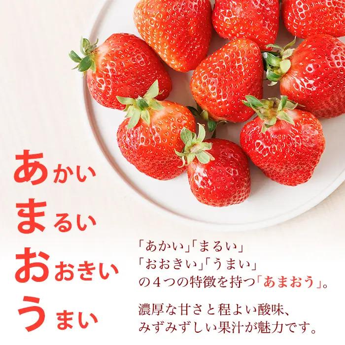 ＜数量限定・先行予約受付中！2027年1月中旬～2月上旬に順次発送＞福岡県産苺「あまおう」グランデ以上(計約540g)いちご 苺 フルーツ 果物 くだもの 福岡限定 家庭用 冷蔵 ＜離島配送不可＞【k