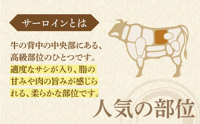 【全12回定期便】幻の和牛 特選平戸和牛サーロインブロック1kg【萩原食肉産業】 [KAD191]