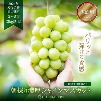 ぶどう 2024年 先行予約 ［ご家庭用］ シャイン マスカット3～5房（合計2kg以上） ブドウ 葡萄 岡山県産 国産 フルーツ 果物 OEC KINGDOM ぶどう家