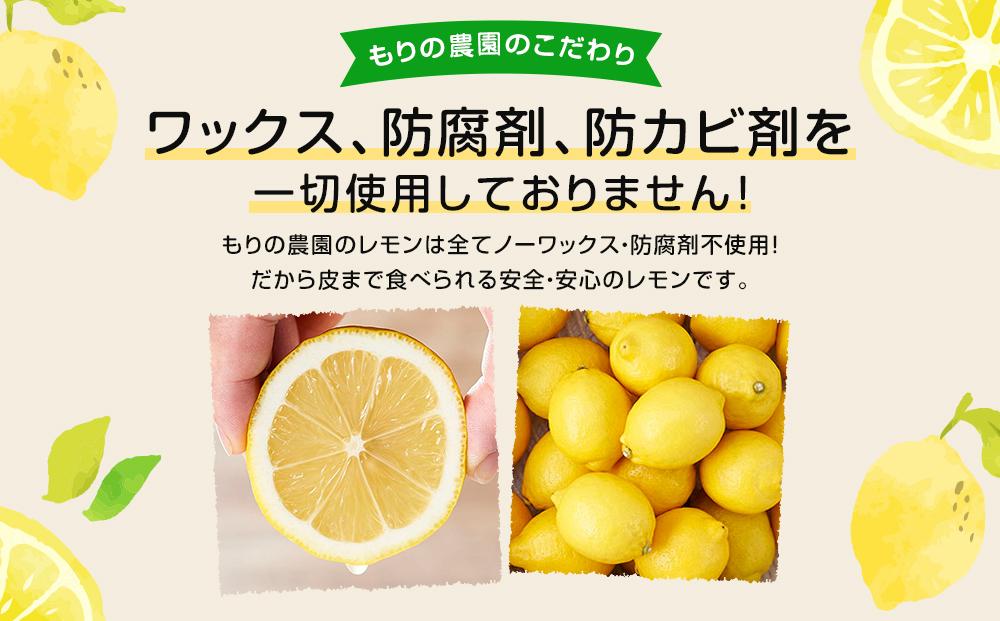 レモン島から贈る安心の国産レモン３kg 産地直送 送料無料 フルーツ ワックス 防腐剤、防かび剤不使用＜1月15日〜発送予定 もりの農園＞