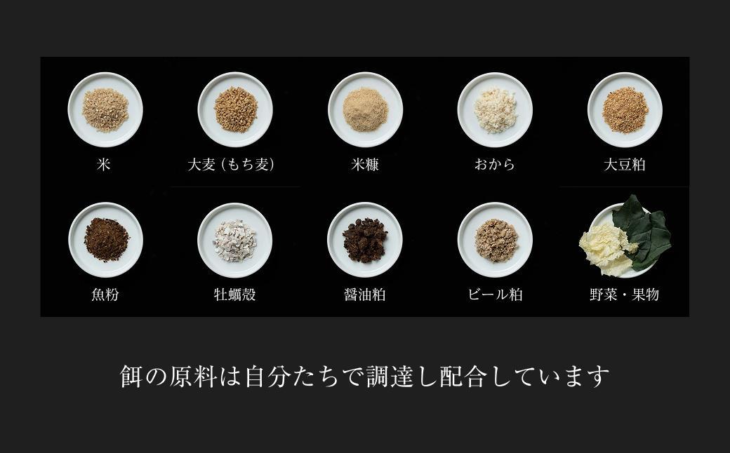 平飼い有精卵 省資源トレー 40個《西粟倉村》【株式会社点々】t-SS-AqDA